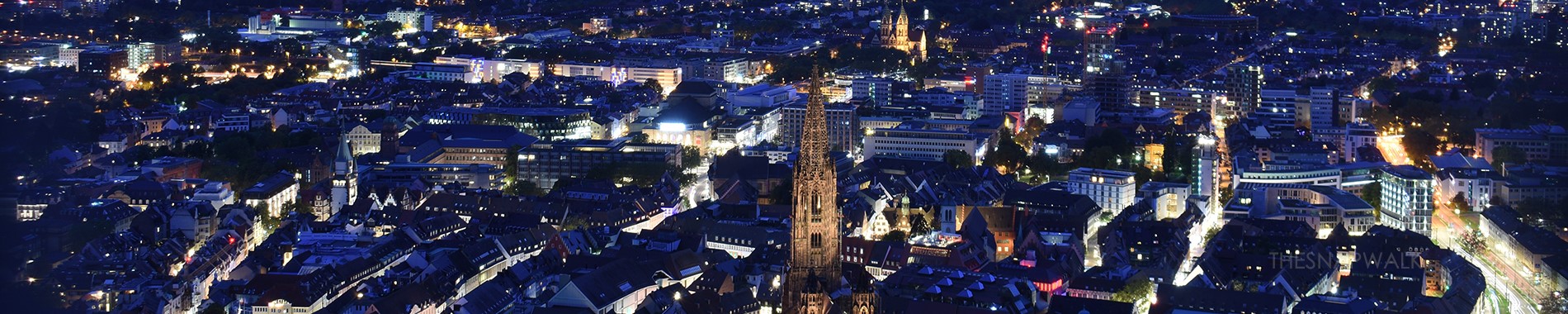 Leo Club Freiburg Panorama